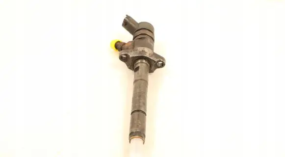 Citroen C4 I Picasso Fuel injector 0445110254