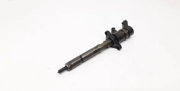 Citroen C5 Fuel injector 0445110259
