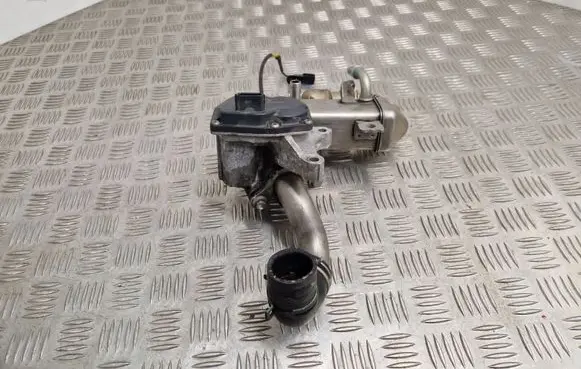 Nissan Qashqai+2 EGR valve H8201068965