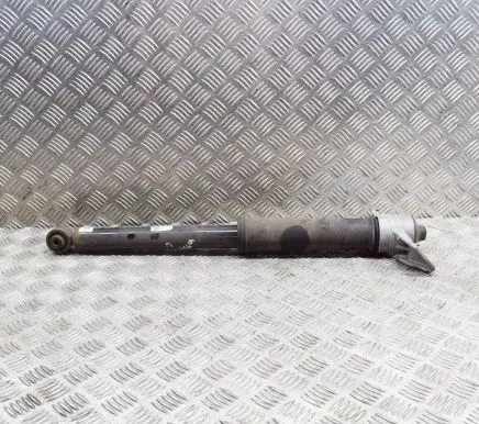 Volvo XC40 Rear shock absorber/damper 32221540 31476914
