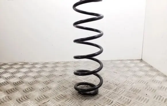 Volkswagen Golf VII Rear coil spring 70757 1000870313