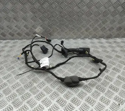 BMW X6 G06 Rear door wiring loom 5A5B6E1