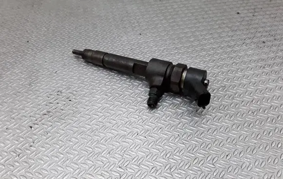Fiat Punto (188) Fuel injector 0445110019
