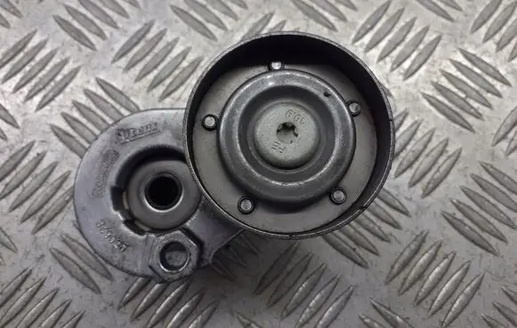 Renault Megane II Alternator belt tensioner pulley 950628