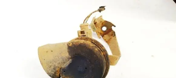 Volkswagen PASSAT B6 Horn signal E1000209