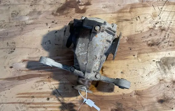 Mitsubishi Pajero Rear differential