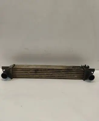 Citroen Nemo Intercooler radiator 51790623 L8119001