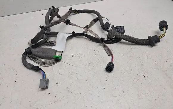 Rear door wiring loom