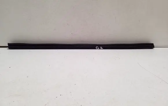 Rear door glass trim molding