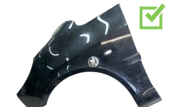Peugeot 1007 Fender 