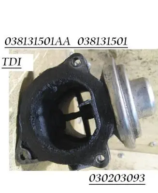 Seat Alhambra (Mk1) EGR valve 038131501AA 038131501