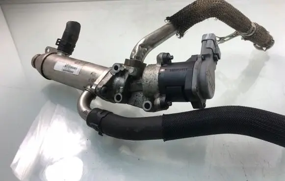 EGR valve cooler