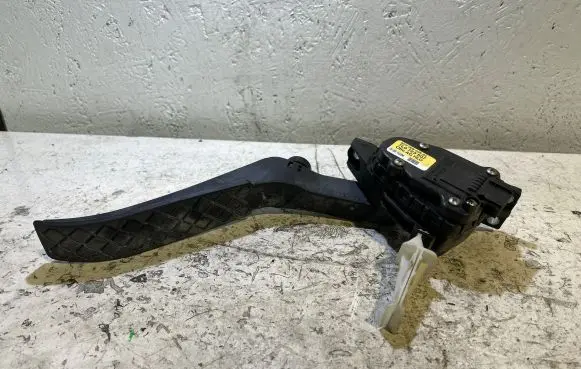 Porsche Cayenne (9PA) Accelerator throttle pedal 6PV00802624 03T070 L03100