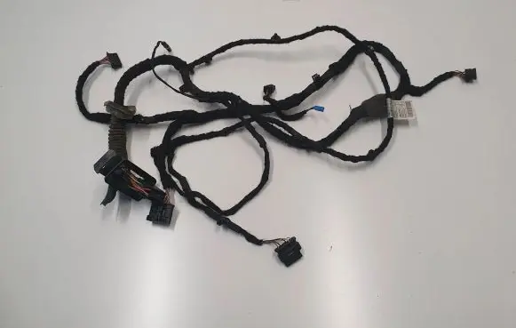 BMW 3 G20 G21 Front door wiring loom 5A0C070 9221023