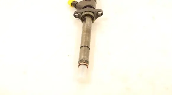 Citroen C4 I Picasso Fuel injector 0445110259