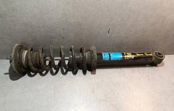 BMW 5 F10 F11 Rear shock absorber with coil spring 814903011012