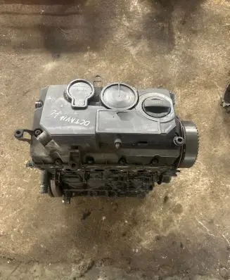 Skoda Octavia Mk2 (1Z) Engine
