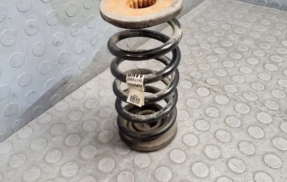 Rear coil spring