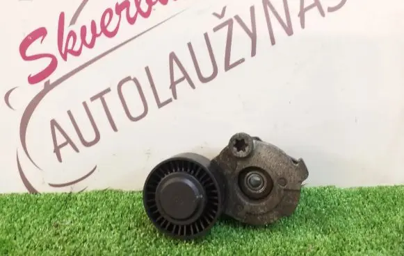 Porsche Cayenne (92A) Generator/alternator belt tensioner 059903133J F566473111