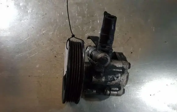 KIA Carnival Power steering pump