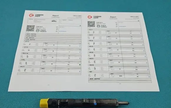 Renault Megane II Fuel injector EJBR01801Z IMPRK1558430