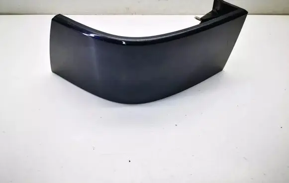 Rear/tail light trim molding