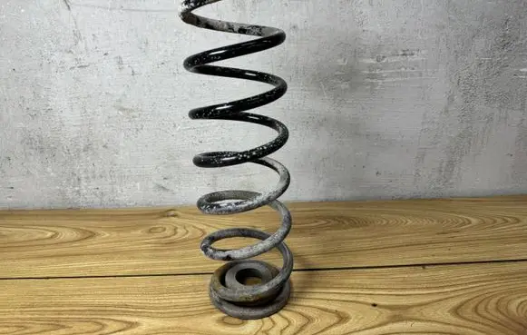 Volkswagen Golf VI Rear coil spring 
