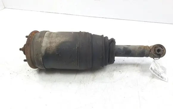 Land Rover Range Rover Sport L320 Rear shock absorber/damper 3498610