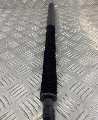 Tailgate strut
