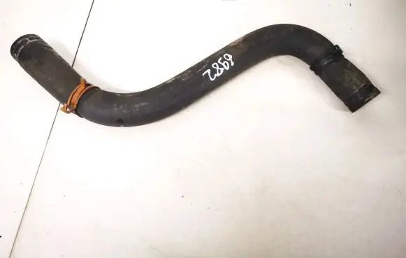 Renault Scenic I Engine coolant pipe/hose 5511686aa