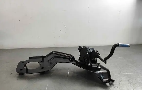 Lexus RX 450H Accelerator pedal position sensor 7811048121