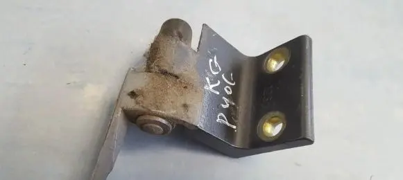 Peugeot 406 Rear door lower hinge