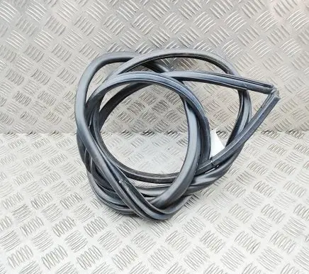 Toyota Hilux (AN120, AN130) Rubber seal front coupe door 623120K141