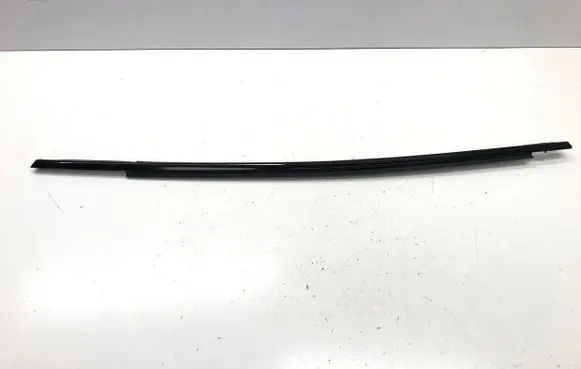 Ford Mustang Mach-E Rear door windshield rail LJ8BR25604AD