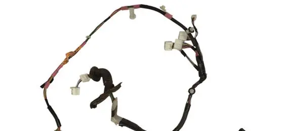 Front door wiring loom
