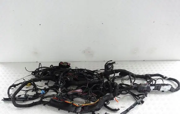 Porsche Cayenne (92A) Other wiring loom 7P5971114B