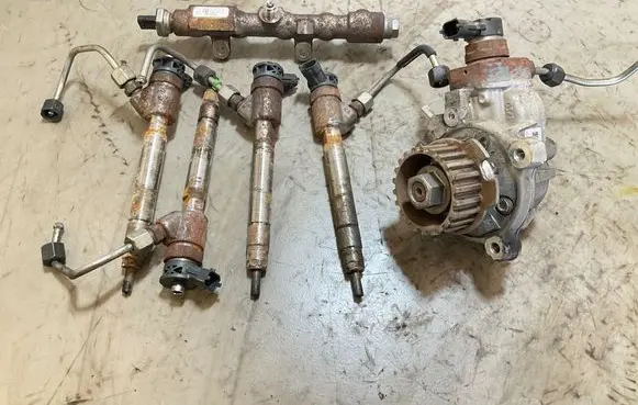 Peugeot Partner III Fuel injector 0445110955 9828959880 0445010761