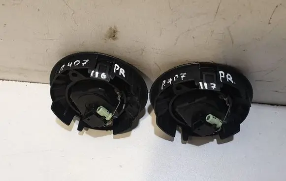 Front door speaker