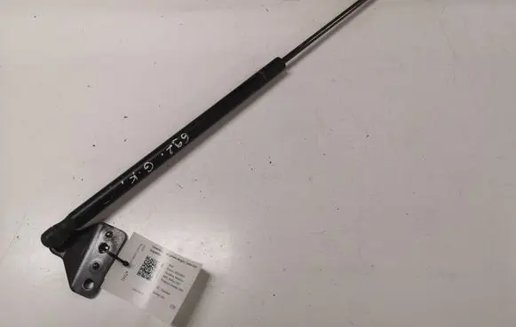 Ford Focus C-MAX Tailgate/trunk strut/damper 3M51R406A10AB