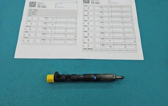 Renault Kangoo I Fuel injector EJBR05102D IMPRK1558433