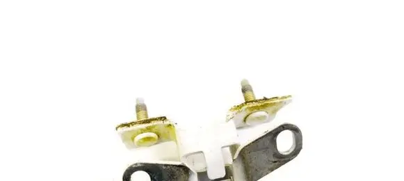 Tailgate/trunk/boot hinge