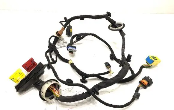 Front door wiring loom