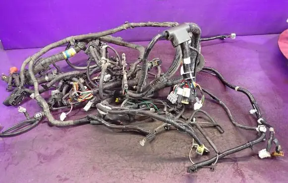 Other wiring loom