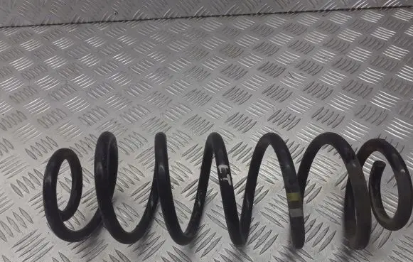 Skoda Octavia Mk2 (1Z) Rear coil spring