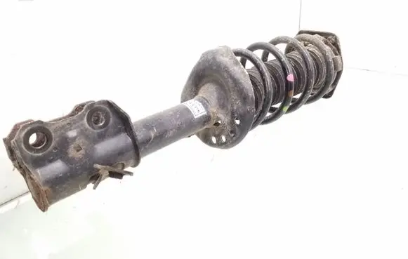 Honda CR-V Front shock absorber with coil spring 51610T1GE130M1 TGRE130