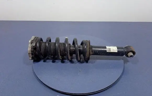 BMW iX3 G08 Rear shock absorber with coil spring 6891987