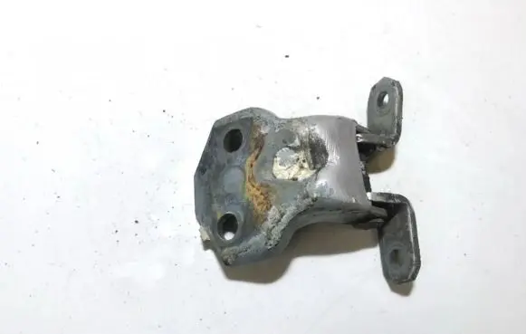 Rear door lower hinge