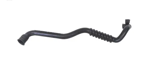 Ford Mustang VI Breather hose/pipe A1668310245