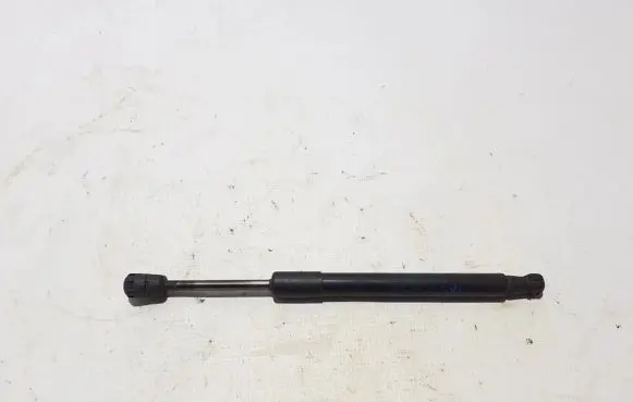 Tailgate strut