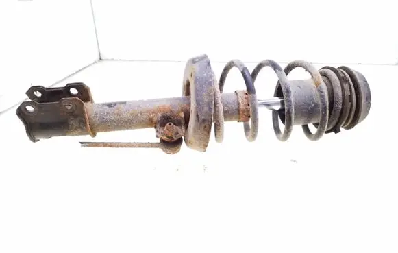 Front shock absorber with coil spring